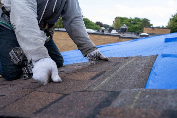 Quick and Trustworthy Emergency Roof Repair Services in Vienna, GA