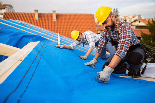 Best Metal Roofing Contractor  in Vienna, GA