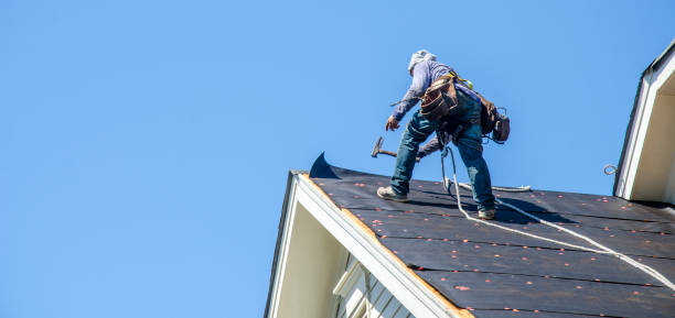 Best New Roof Installation  in Vienna, GA